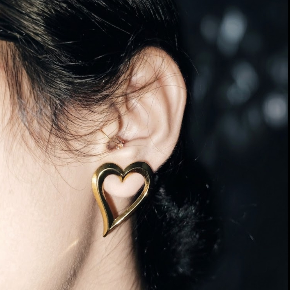 Stainless Steel Earrings